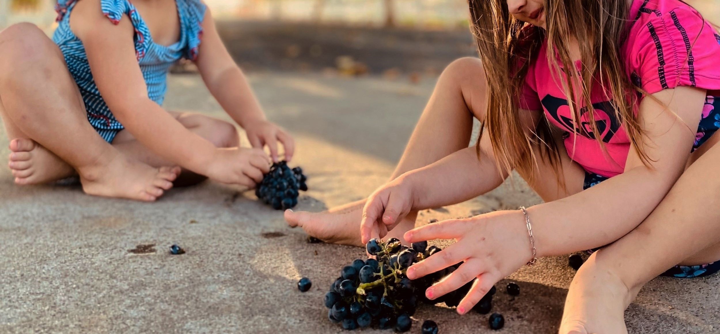 Image of children enjoying grapes at Havin' Fun Vineyards