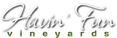 Havin' Fun Vineyards Logo